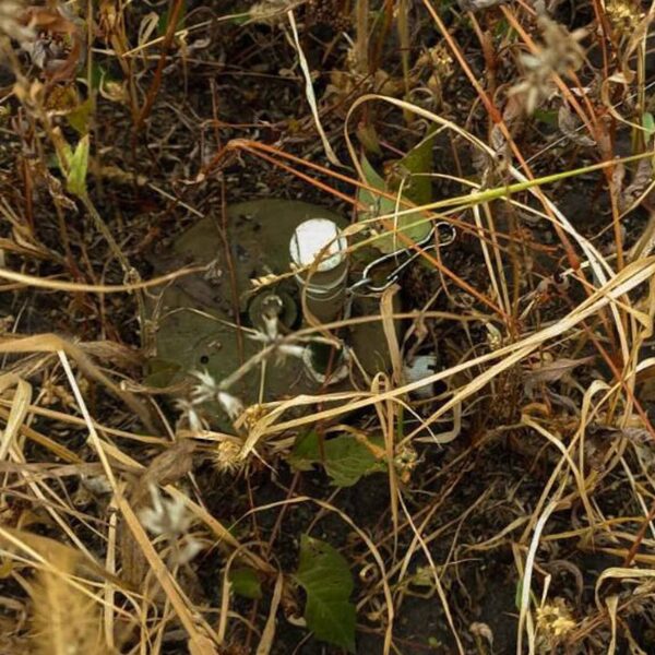 OZM – 72 atotampa, pietvakarių Ukraina, 2024 metai.