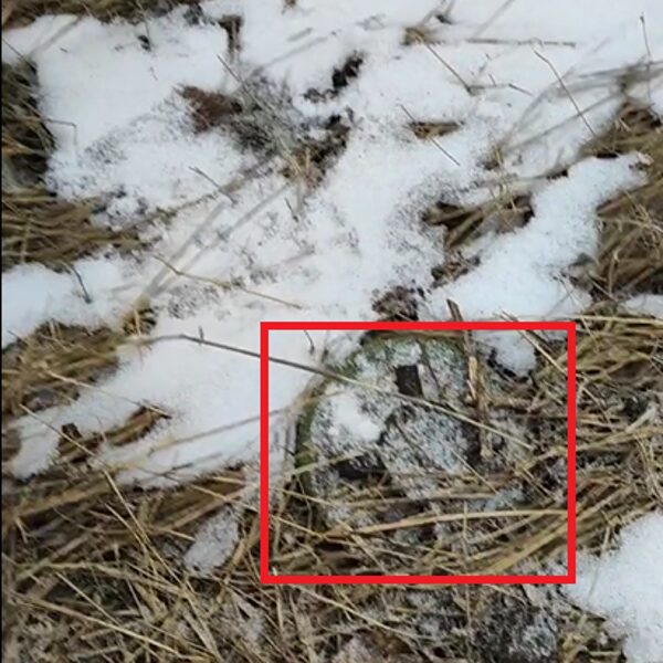 Kupjanskas, 2023 ruduo, PMN-2.