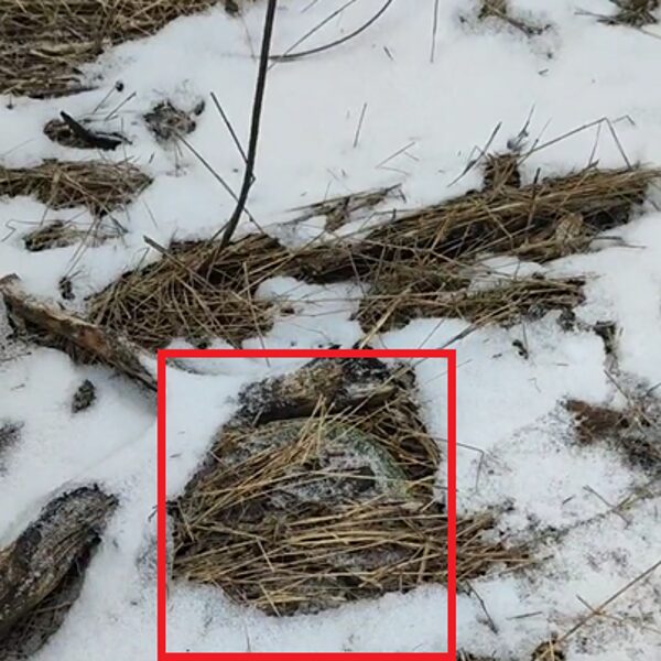 Kupjanskas, 2023 ruduo, PMN-2.