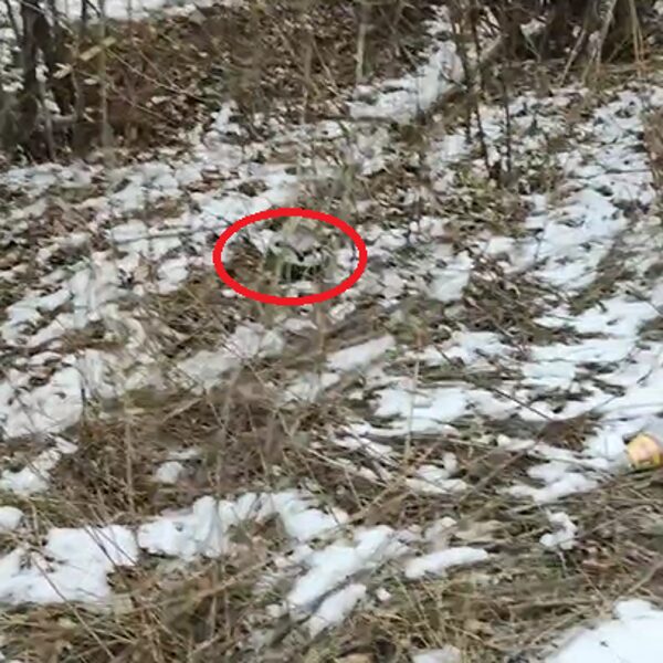 Kupjanskas, 2023 ruduo, PMN-2.