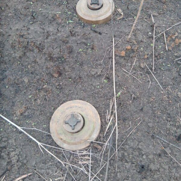 „Šlagbaumas“, TM-62 ir vietoje sprogdiklio PMN-2. Kupianskas 2023 metai ruduo. 