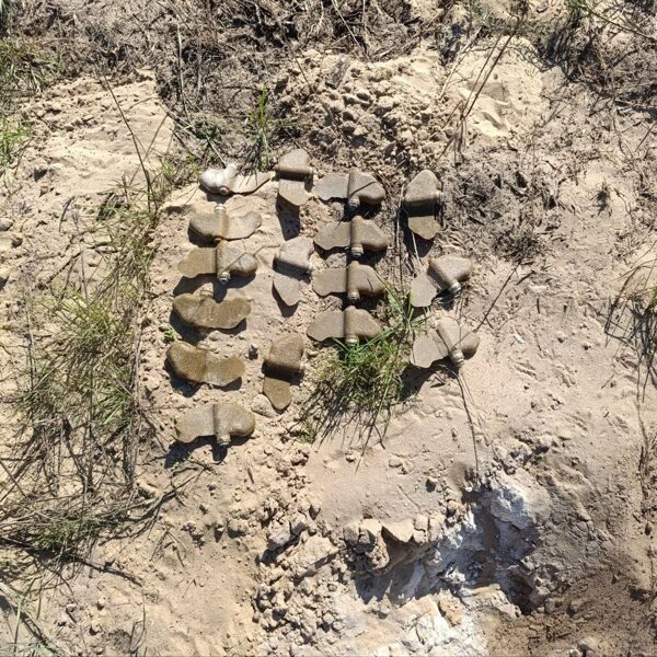 PFM-1 pietvakarių Ukraina, 2024 metai.