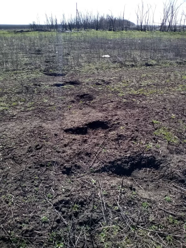 Čia buvo prieštankinių minų TM-62 laukas. 