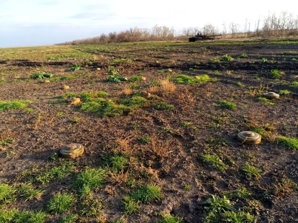 Minų laukas, pietvakarių Ukraina, 2024 metai. 