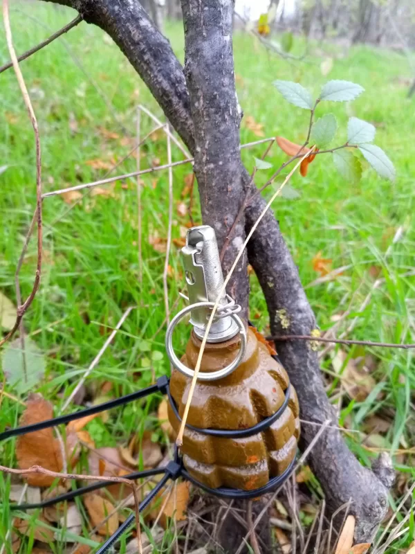 Granata ant atotampos, pietvakarių Ukraina, 2024 metai. 