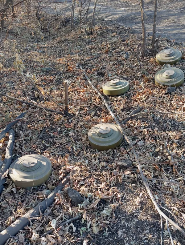 Minų laukas, pietvakarių Ukraina, 2024 metai. 