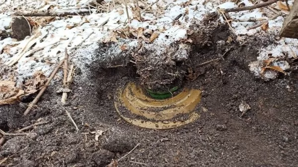 Mina TM-62, vietoje sprogdiklio priešpėstinė mina PMN-2.